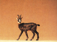 Domestic Animal Figures, 1/24 - 1/25 Scale -- Chamois Goat