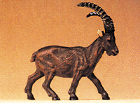 Walking Ibex w/Raised Head