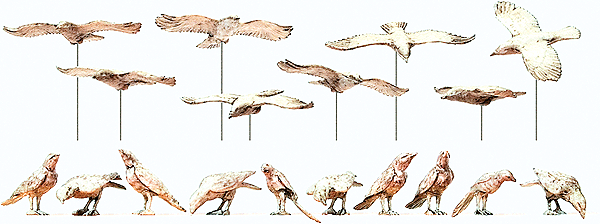 Animals -- Bird Assortment, Unpainted