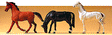 Animals -- Horses pkg(3)