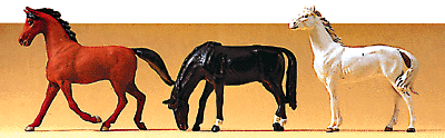 Animals -- Horses pkg(3)