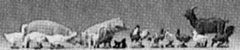 Animals -- Set of Small Animals