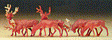 Animals -- Deer pkg(6)