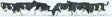Black & White Cows -- pkg(6)