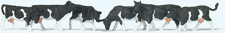 Black & White Cows -- pkg(6)