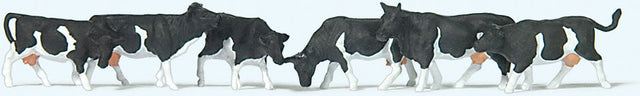 Black & White Cows -- pkg(6)