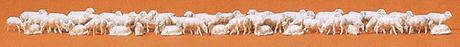 Animals -- Shepherds Flock