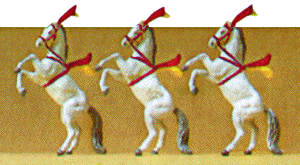 Animals -- Show Horses pkg(3)