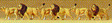 Animals -- Lions pkg(6)