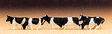 Animals -- Cows