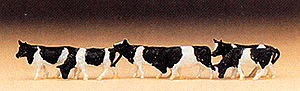 Animals -- Cows