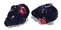 Switch Marker Light