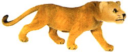 Flocked Animal -- Lioness
