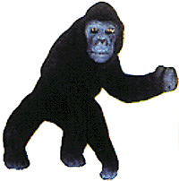 Flocked Animal -- Gorilla