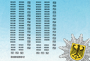 Mini-Tanks Military Modern German Frontier Guard (BGS) Decal Set -- Vehicle Markings (black)
