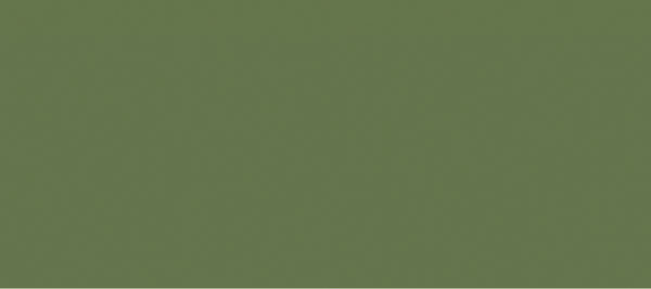 Scalecoat II Railroad Paint 1oz  29.6ml -- Northern Pacific Light Green