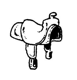 McClellan Saddle