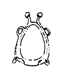 Horse Collar