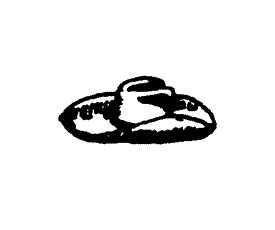 Cowboy Hat