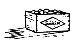 Single Crates -- Filled