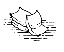 Sacks