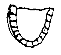 Old-Time Store Sign -- Large Dentures