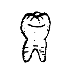 Old-Time Store Sign -- Large Tooth