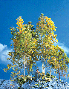 SuperTree(TM) Value Pack -- 30 to 35 Trees - 5 to 8"  12.7 to 20.3cm