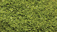 SuperLeaf Scale Model Leaf Flake - Shaker - 16oz  454g -- Spring Green