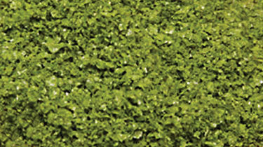 SuperLeaf Scale Model Leaf Flake - Shaker - 16oz  454g -- Spring Green