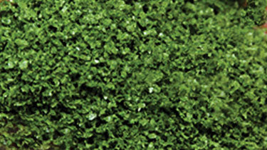 SuperLeaf Scale Model Leaf Flake - Shaker - 16oz  454g -- Medium Green