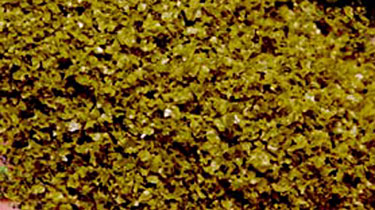 SuperLeaf Scale Model Leaf Flake - 16oz  454g Shaker -- Moss Green