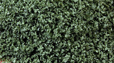 SuperLeaf Scale Model Leaf Flake - Shaker - 16oz  454g -- Olive Green