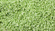 SuperLeaf Scale Model Leaf Flake 16oz Shaker -- Pale Green