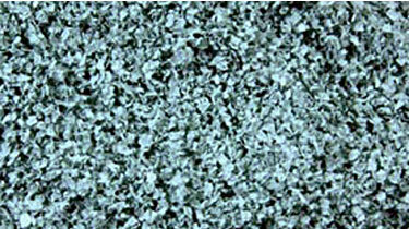 SuperLeaf Scale Model Leaf Flake 16oz Shaker -- Eucalyptus