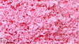 SuperLeaf Flowering Blossom 16oz Shaker -- Pink Petunia