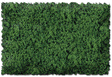 Flock & Turf - Scenic Foams & Ground Textures - Green Tones - 64 Ounces -- Grass Green - Coarse
