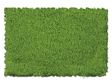 Flock & Turf - Scenic Foams & Ground Textures - Green Tones - 32 Ounces -- Spring Green - Fine