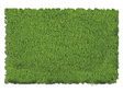 Flock & Turf - Scenic Foams & Ground Textures - Green Tones - 64 Ounces -- Spring Green - Fine
