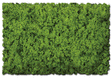 Flock & Turf - Scenic Foams & Ground Textures - Green Tones - 64 Ounces -- Spring Green - Coarse