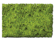 Flock & Turf - Scenic Foams & Ground Textures - Blended Tones - 32 Ounces -- Scrub Lawn Blend