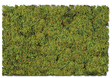 Flock & Turf - Scenic Foams & Ground Textures - Blended Tones - 64 Ounces -- Farm Pasture Blend