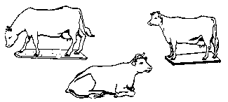 Animals -- Cows pkg(6)