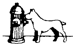 Animals -- Dog & Hydrant