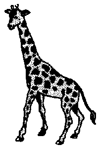 Animals -- Giraffe