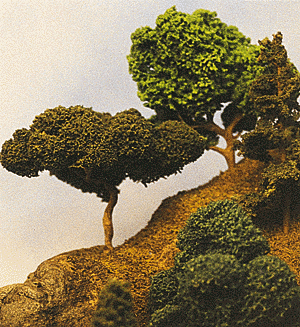 Trees old oak          3/