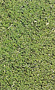 Turf blend earth    2.5oz