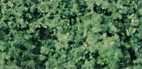 Scnc turf fn frst grn 2oz