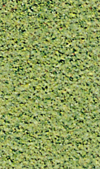 Turf blend turf