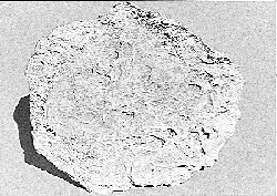 Face rock mold